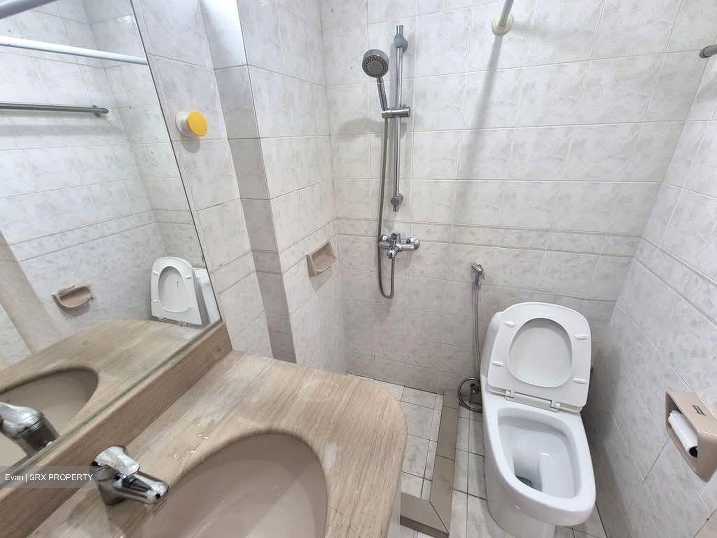 Emerald Park (D3), Condominium #589388251